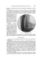 giornale/RML0015994/1922/unico/00000333