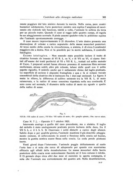 La chirurgia degli organi di movimento