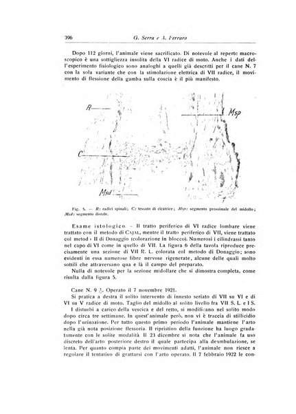 La chirurgia degli organi di movimento