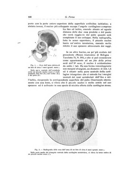 La chirurgia degli organi di movimento