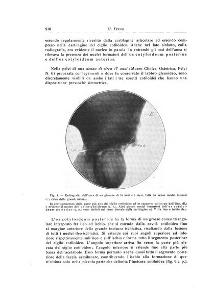 La chirurgia degli organi di movimento