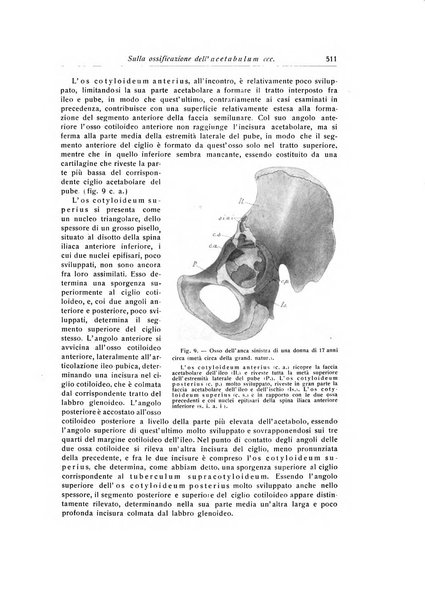 La chirurgia degli organi di movimento