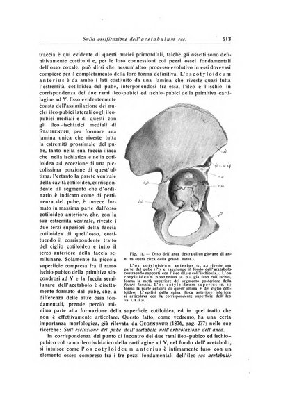 La chirurgia degli organi di movimento