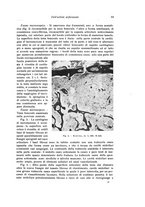 giornale/RML0015994/1923-1924/unico/00000099