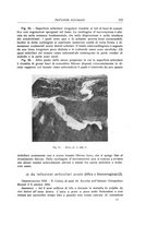 giornale/RML0015994/1923-1924/unico/00000119