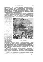 giornale/RML0015994/1923-1924/unico/00000121