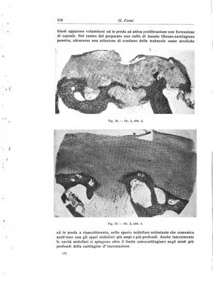 La chirurgia degli organi di movimento