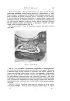 giornale/RML0015994/1923-1924/unico/00000127