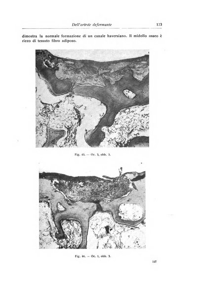 La chirurgia degli organi di movimento