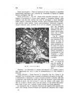 giornale/RML0015994/1923-1924/unico/00000148