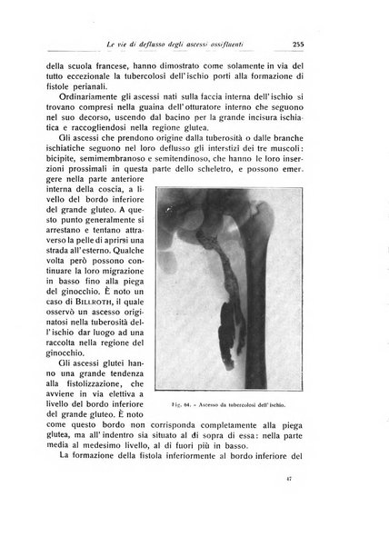 La chirurgia degli organi di movimento