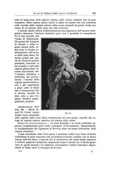 La chirurgia degli organi di movimento