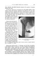 giornale/RML0015994/1923-1924/unico/00000281