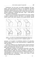 giornale/RML0015994/1923-1924/unico/00000407