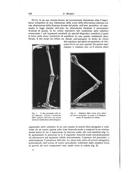 La chirurgia degli organi di movimento