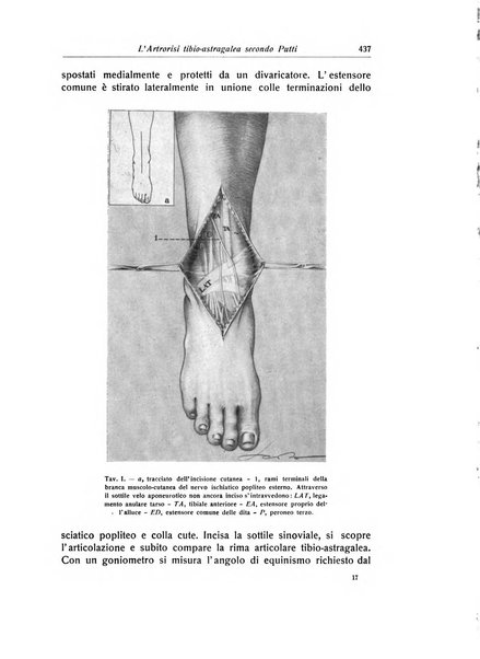 La chirurgia degli organi di movimento