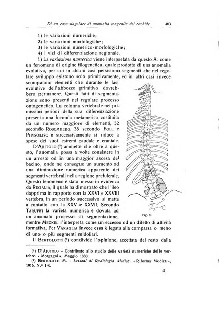 La chirurgia degli organi di movimento