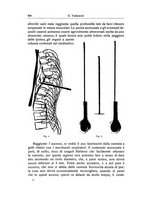 giornale/RML0015994/1923-1924/unico/00000532