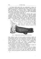 giornale/RML0015994/1923-1924/unico/00000542