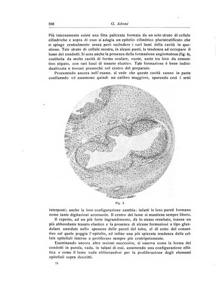 La chirurgia degli organi di movimento