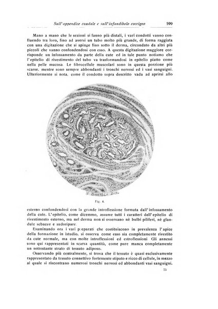 La chirurgia degli organi di movimento