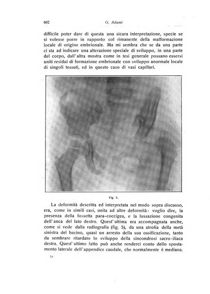 La chirurgia degli organi di movimento