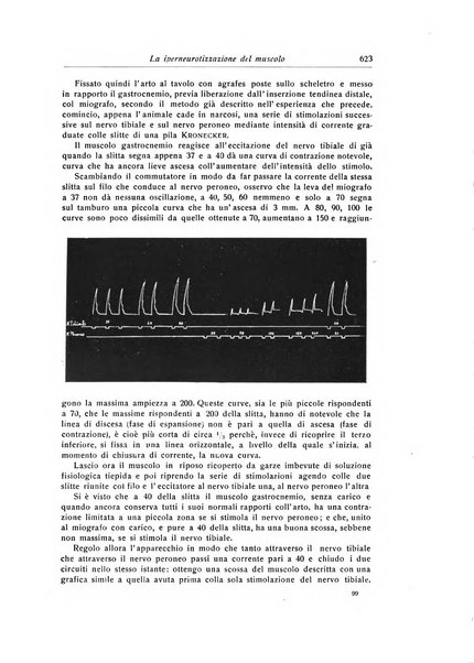 La chirurgia degli organi di movimento