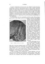 giornale/RML0015994/1923/unico/00000084