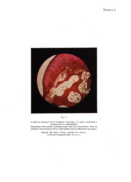 La chirurgia degli organi di movimento