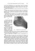 giornale/RML0015994/1923/unico/00000217