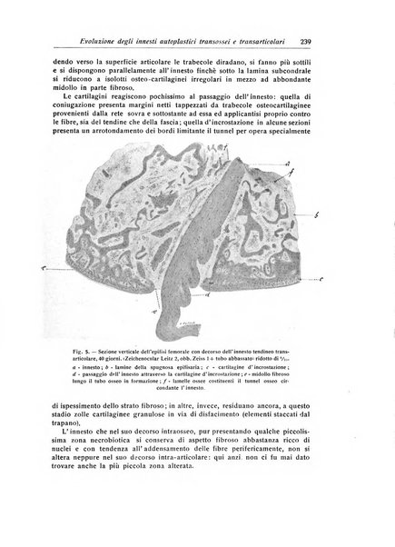 La chirurgia degli organi di movimento