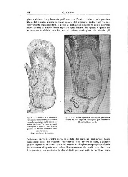 La chirurgia degli organi di movimento