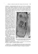 giornale/RML0015994/1923/unico/00000317