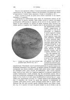 giornale/RML0015994/1923/unico/00000318