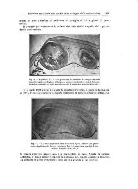 La chirurgia degli organi di movimento