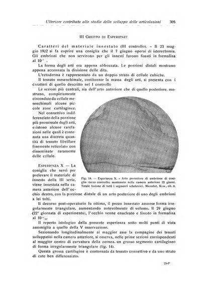 La chirurgia degli organi di movimento