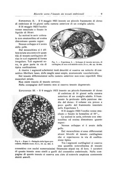 La chirurgia degli organi di movimento