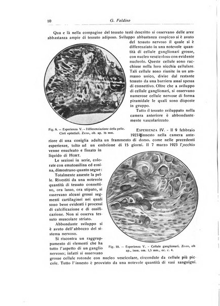 La chirurgia degli organi di movimento