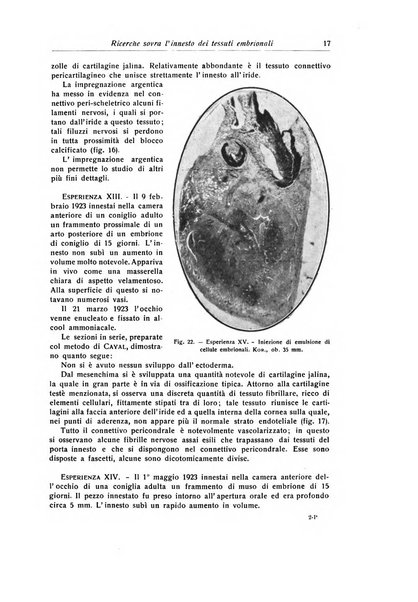 La chirurgia degli organi di movimento