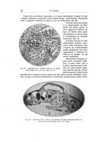 giornale/RML0015994/1924-1925/unico/00000038