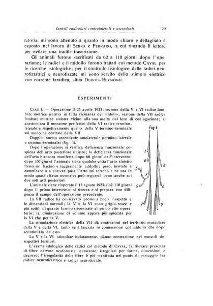 La chirurgia degli organi di movimento