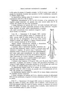 giornale/RML0015994/1924-1925/unico/00000049