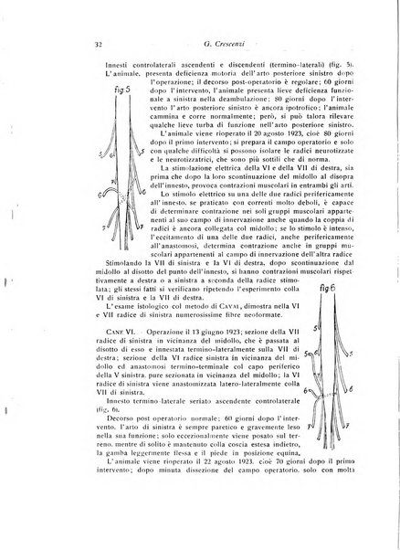 La chirurgia degli organi di movimento