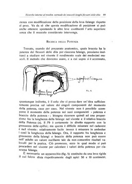 La chirurgia degli organi di movimento