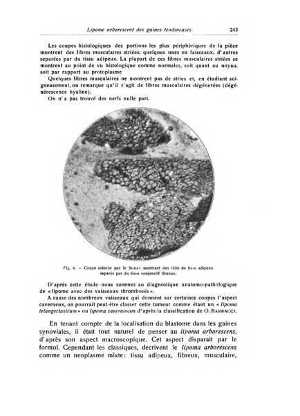 La chirurgia degli organi di movimento