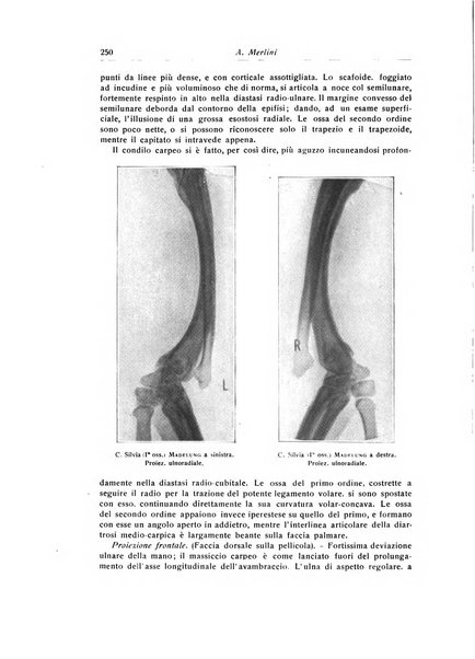 La chirurgia degli organi di movimento