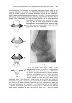 giornale/RML0015994/1924-1925/unico/00000319