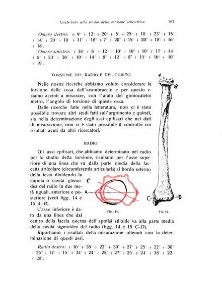 La chirurgia degli organi di movimento