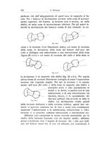 giornale/RML0015994/1924-1925/unico/00000416