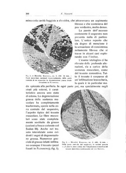 La chirurgia degli organi di movimento